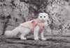 Elegant Overcoat Luxury Pearl Cat Clothes