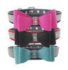 Leather Bowknot with Rhinestone Pet Collar